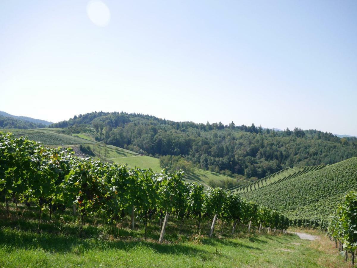 Ferienwohnung Kirschbluete Mosbach  Экстерьер фото